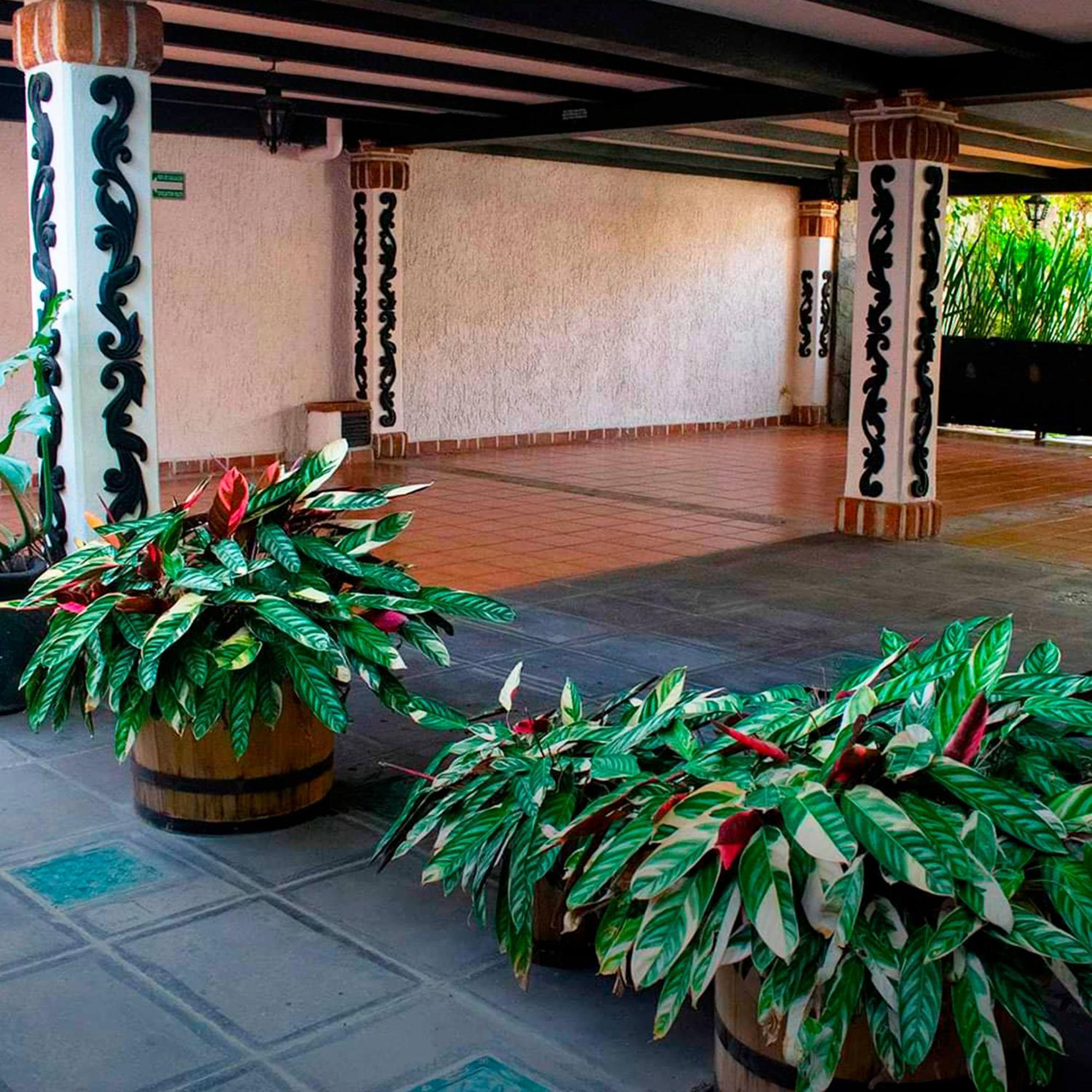 Hotel Boutique La Mansión Guadalajara Exterior foto